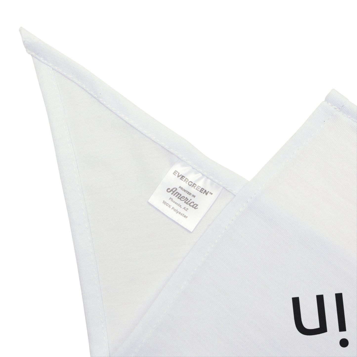 Whimsical Pet Bandana - "The Dogtor is In" | Cute Dog Accessory, Pet Outfit, Dog Lover Gift, Funny Bandana, Playful Pet Apparel