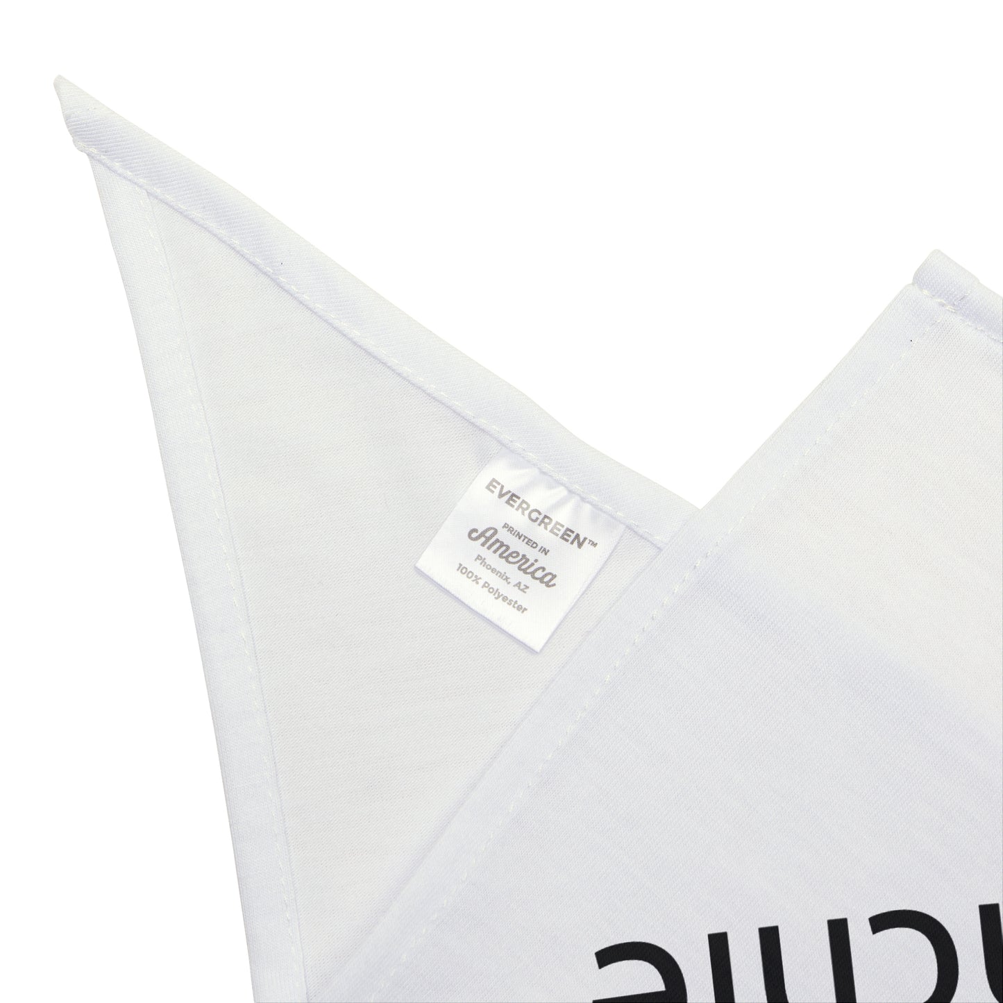 Pet Bandana - Pardon My Frenchie Dog Accessory