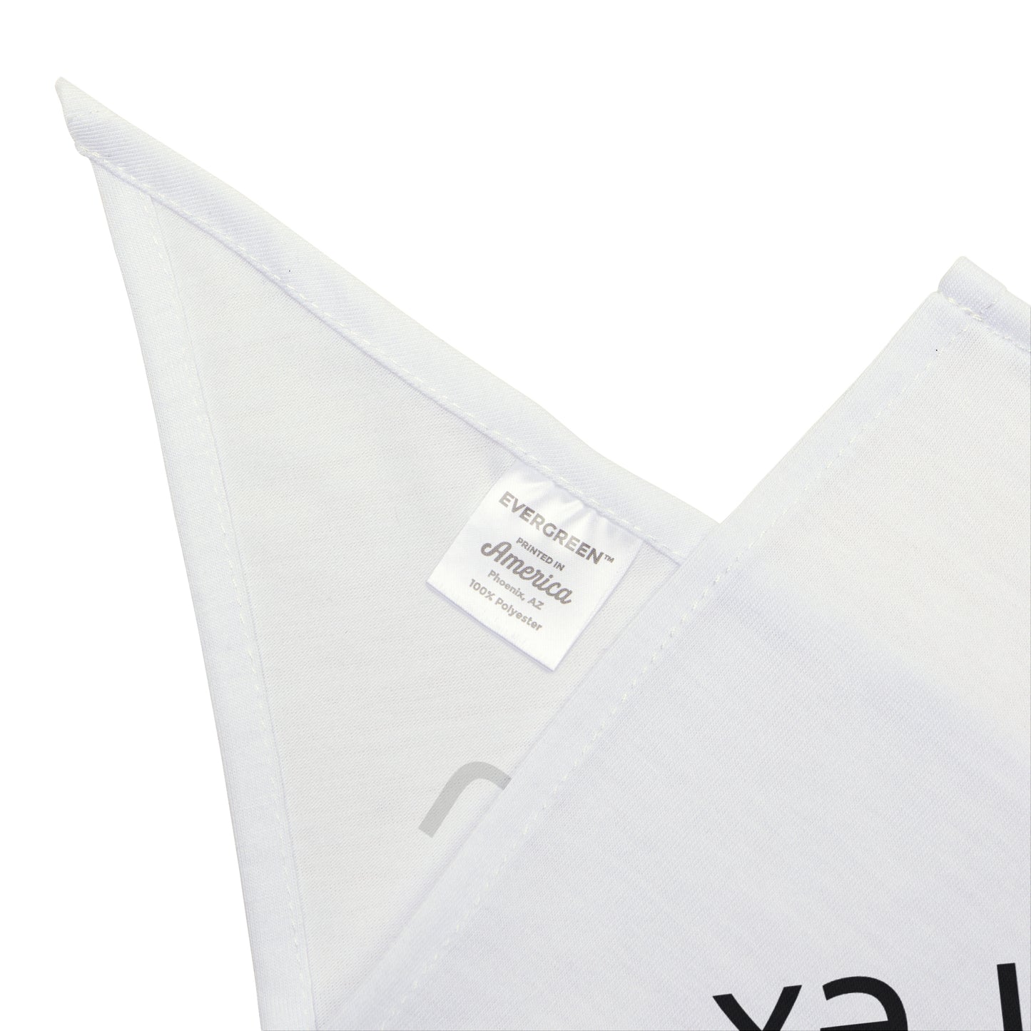 Dog Bandana - More Loyal Than Your Ex, Funny Pet Accessory