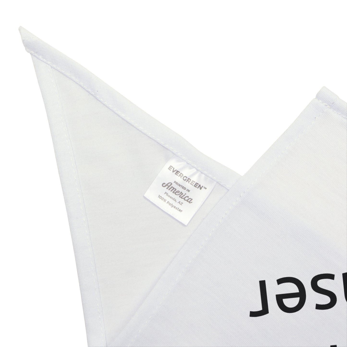 Pet Bandana - Whimsical Professional Squirrel Chaser - Fun Dog Accessory, Autumn Celebration Gift