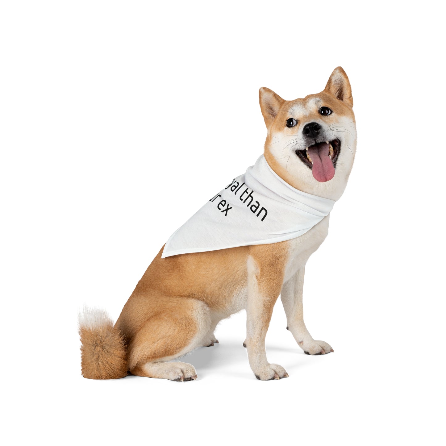 Dog Bandana - More Loyal Than Your Ex, Funny Pet Accessory