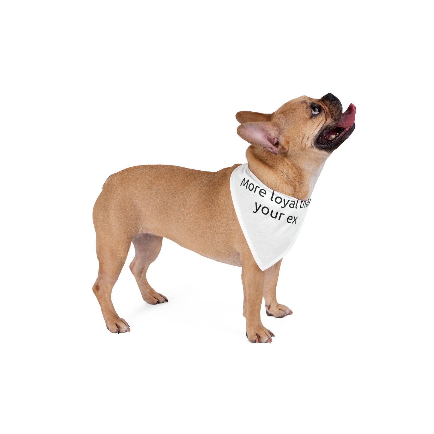 Dog Bandana - More Loyal Than Your Ex, Funny Pet Accessory